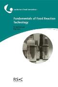 Fundamentals of Food Reaction Technology