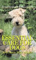 Essential Care for Dogs: A Holistic Way of Life