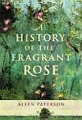 History Of The Fragrant Rose