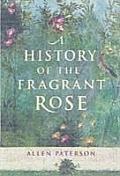 History Of The Fragrant Rose