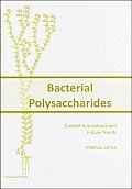 Bacterial Polysaccharides: Current Innovations and Future Trends