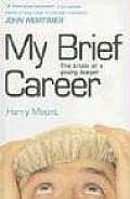 My Brief Career The Trials of a Young Lawyer
