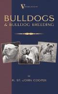 Bulldogs and Bulldog Breeding (a Vintage Dog Books Breed Classic)