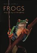 Frogs & Other Amphibians