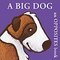 Big Dog An Opposites Book