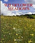 Wildflower Meadows Survivors from a Golden Age