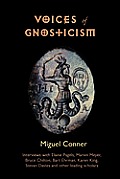 Voices of Gnosticism: Interviews with Elaine Pagels, Marvin Meyer, Bart Ehrman, Bruce Chilton and Other Leading Scholars