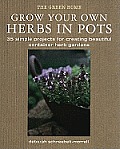 Grow Your Own Herbs in Pots