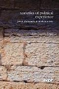 Varieties of Political Experience: Power Phenomena in Modern Society
