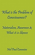 What is the Problem of Consciousness?: Materialism, Awareness & What-it-is-likeness