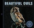 Beautiful Owls