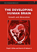 The Developing Human Brain: Growth and Adversities