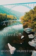 A Place to Pay Attention
