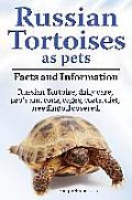 Russian Tortoises as Pets. Russian Tortoise facts and information. Russian tortoises daily care, pro's and cons, cages, diet, costs.: Facts and Inform