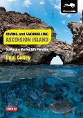 Diving and Snorkelling Ascension Island: Guide to a Marine Life Paradise