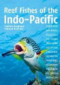 Reef Fishes of Indo-Pacific