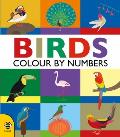 Birds: Colour by Numbers