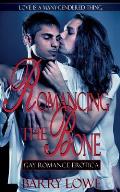 Romancing The Bone: Gay Romance Erotica