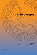 Enteroviruses: Omics, Molecular Biology, and Control