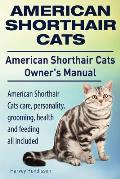American Shorthair Cats. American Shorthair care, personality, health, grooming and feeding all included. American Shorthair Cats Owner's Manual.
