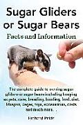 Sugar Gliders or Sugar Bears: Facts and Information on Sugar Gliders as Pets Including Care, Breeding, Bonding, Food, Diet, Lifespan, Cages, Toys, C