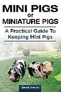 Mini Pigs or Miniature Pigs a Practical Guide to Keeping Mini Pigs