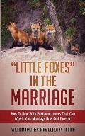 Little Foxes in the Marriage: How to Deal with Pertinent Issues That Can Wreck Your Marriage Now and Forever
