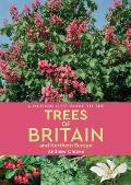 Naturalists Guide to the Trees of Britain & Northern Europe