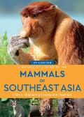 Naturalists Guide to the Mammals of Southeast Asia