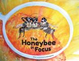 The Honeybee in Focus