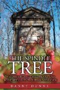 The Spindle Tree: A story of lost childhood and redemption in the Irish Midlands