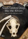 Souls Grown Deep like the Rivers Black Artists from the American South