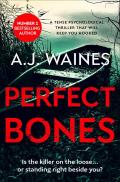 Perfect Bones: A Tense Psychological Thriller That Will Keep You Hooked