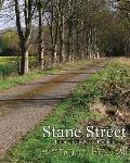 Stane Street: From Chichester to London