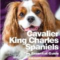 Cavalier King Charles Spaniels: The Essential Guide