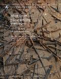 Must Farm Pile-Dwelling Settlement: Volume 1. Landscape, Architecture and Occupation