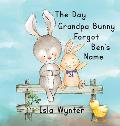The Day Grandpa Bunny Forgot Ben's Name: A Picture Book About Dementia