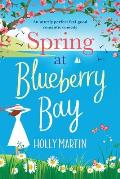 Spring at Blueberry Bay: Large Print edition