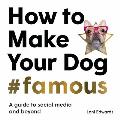 How To Make Your Dog Famous A Guide to Social Media & Beyond