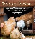 Raising Chickens The Essential Guide to Choosing & Keeping Happy Healthy Hens