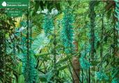 Jade Vine 1000 Piece Jigsaw Puzzle: Cambridge University Botanic Garden