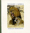 Wildlife of Africa: Booklet