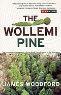 Wollemi Pine The Incredible Discovery of a Living Fossil From the Age of the Dinosaurs