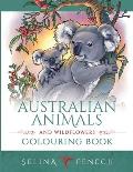 Australian Animals and Wildflowers Colouring Book