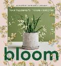 Bloom Flowering Plants for Indoors & Balconies