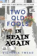 Two Old Fools in Spain Again - LARGE PRINT