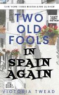 Two Old Fools in Spain Again - LARGE PRINT