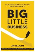 Big Little Business: Big Business Thinking to Help You Grow Exponentially