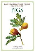 Figs: Rare and Heritage Fruit Cultivars #13