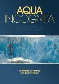 Aqua Incognita: Why Ice Floats on Water and Galileo 400 Years on